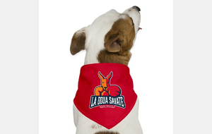 Habillez-vous aux couleurs de la Doua Savate !